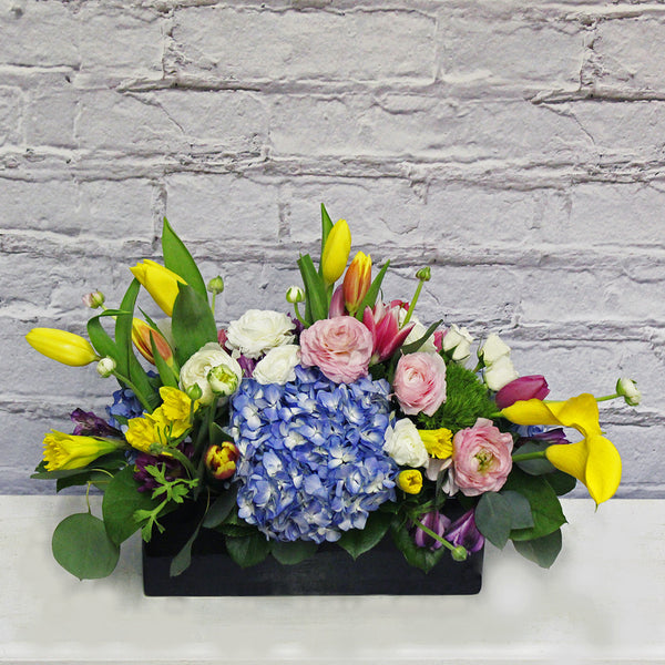 BURST OF SPRING (MF-0057)