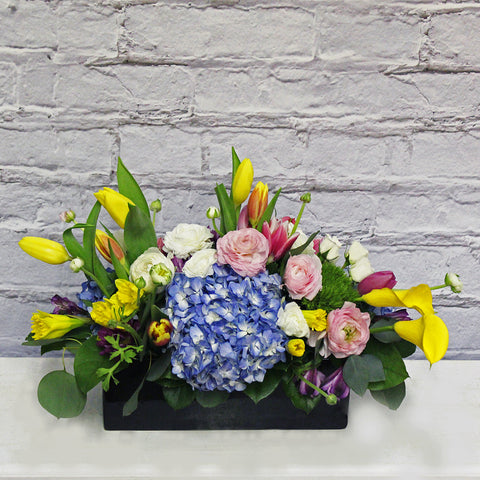 BURST OF SPRING (MF-0057)