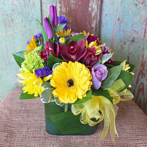 SPRING BLISS (MF-0005)