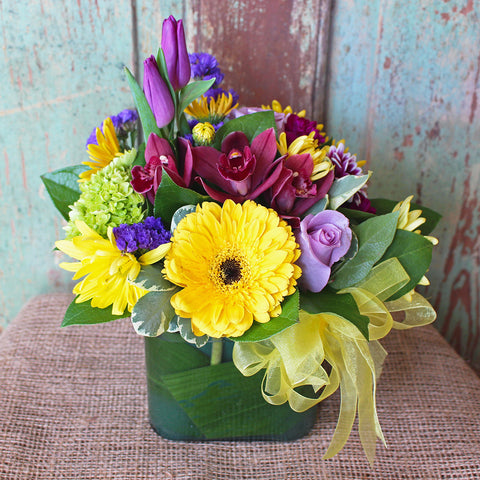 SPRING BLISS (MF-0005)