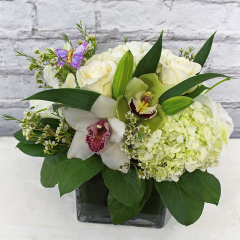 WHITE ELEGANCE (MF-0010)