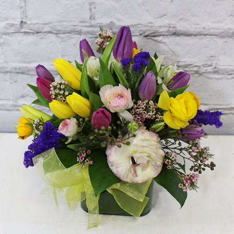 DANCING TULIPS (MF-0025)