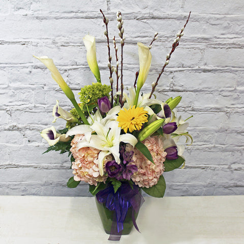 ALEXANDRIA (MF-0056)