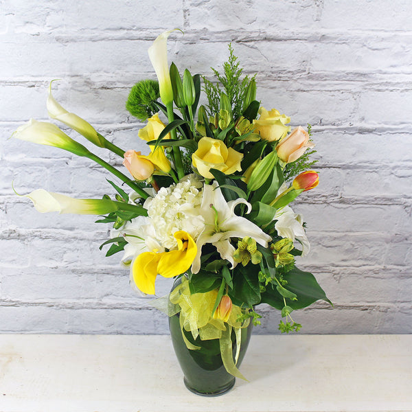 WARM WALTZ (MF-0074)