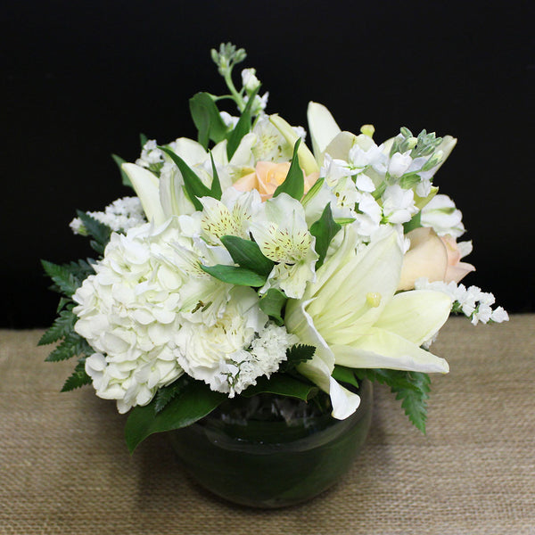 MARSHMALLOW (MF-0078)