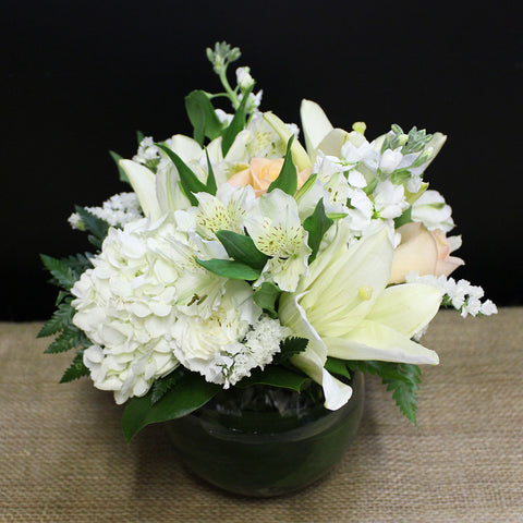 MARSHMALLOW (MF-0078)