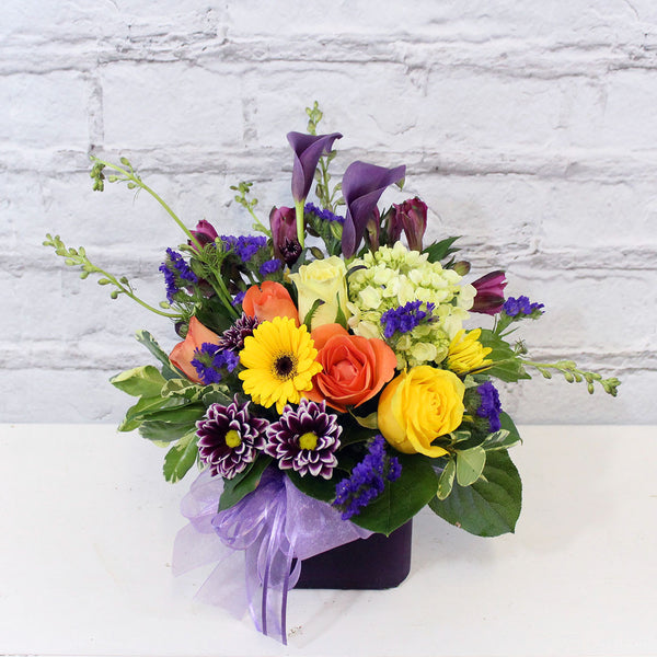 QUEEN OF SUMMER (MF-0103)