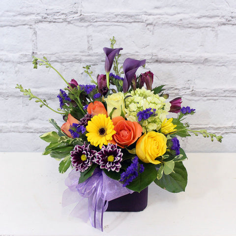 QUEEN OF SUMMER (MF-0103)